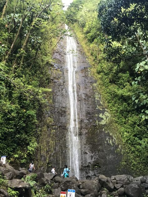 Manoa Falls Trail on Oahu - Cost, Parking and Other Helpful Tips Manoa Falls Oahu, Vision Board Poster, Manoa Falls, Hawaii Guide, Honolulu Waikiki, North Shore Oahu, Beautiful Hikes, Gorgeous Scenery, Rock Face