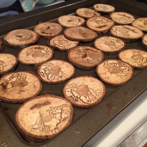 Plywood Plank Flooring, Wood Burning Projects, Woodburning Projects, Wood Burning Ideas, Wood Slice Crafts, Tree Cookies, Wood Burning Crafts, Wood Disc, Wood Burning Patterns