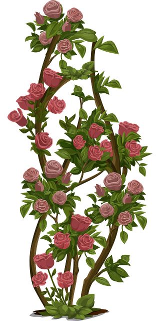 Roses Tree, Bush Drawing, Bush Flowers, Tree Icon, Garden Drawing, Rose Trees, Rose Bush, Flowering Shrubs, Orange Roses