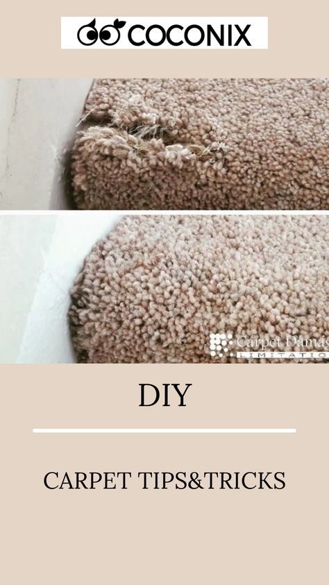 Fix Carpet From Cat, Fixing Carpet From Cat, How To Repair Carpet Holes, How To Refluff Matted Carpet, Patching Carpet Diy, Carpet Patch Repair, Diy Carpet Repair, How To Fix Carpet Torn Up By Dogs, Carpet Wrinkles