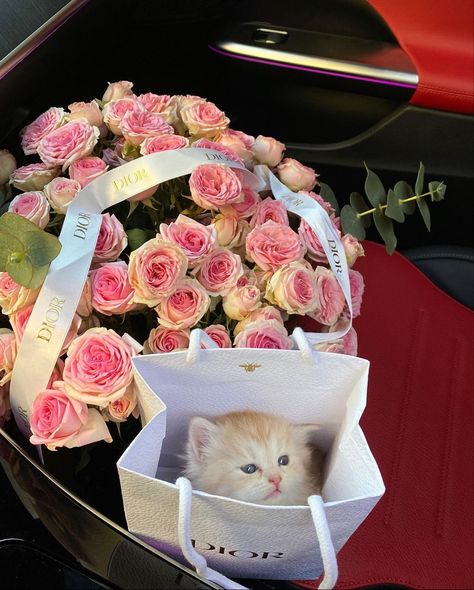 Roses, gift, pink, gift in spell, love, luxury, Dior, kitten, animal, pet, beautiful, luxury goals, lover goals, bouquet, spring vibes, boyfriend, girlfriend, couple anniversary what I expect love to be like, love language, giftgiving, summer vibes, romantic date, ideas for dates, roses aesthetic, #lovelanguage #rosesaesthetic Romantic Gifts Aesthetic, Romantic Gift Aesthetic, Aesthetic Gifts For Girlfriend, Gift Giving Love Language Aesthetic, Giving Flowers Aesthetic Couple, Kitten Bouquet, Gifts Love Language, Getting Flowers Aesthetic Couple, Bf Buying Flowers