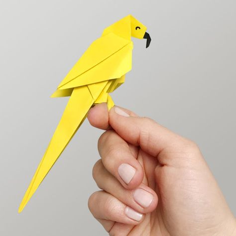 Origami Parrot, Diy Jewelry Stand, Animal Tutorial, Origami Animal, Origami Step By Step, Arctic Tundra, Origami Gifts, Origami Videos, Origami And Quilling