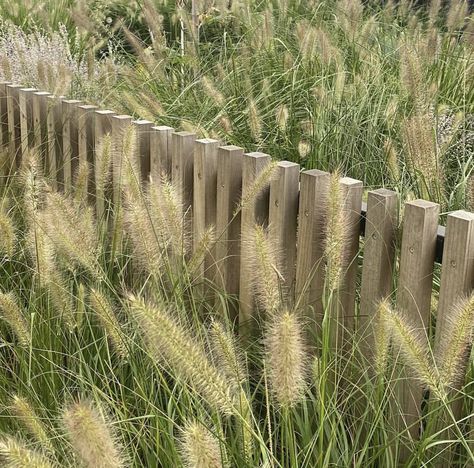 Organic Fence Design, Raw Wood Fence, Timber Fence Australia, Scandinavian Fence, Minimal Fence, Sleeper Fence, Coastal Fence, Bocce Court Backyard, Cedar Split Rail Fence