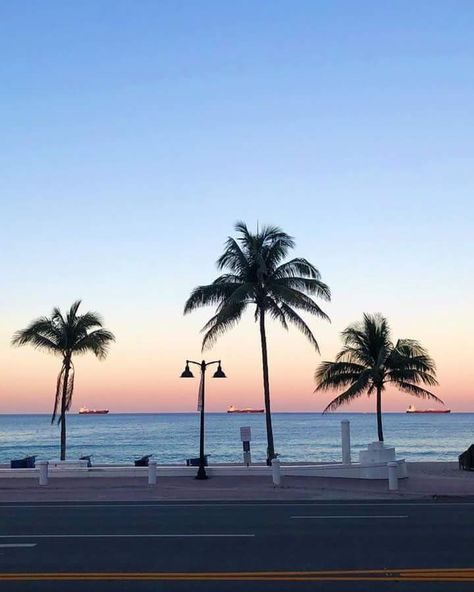 Fort Lauderdale Beach @ Sunset Fort Lauderdale Florida Aesthetic, Fort Lauderdale Aesthetic, Fort Lauderdale Beach Aesthetic, Fort Lauderdale Restaurants With A View, Florida Fort Lauderdale, Four Seasons Fort Lauderdale, Las Olas Fort Lauderdale, Fort Lauderdale Beach, Daily Mood