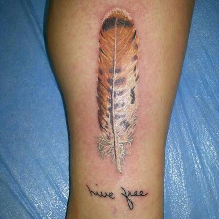 Red tailed hawk feather Hawk Feather Tattoo, Hawk Tattoos, Someday Tattoo, Red Tail Hawk Feathers, Feather Tat, Water Tattoos, Feather Ideas, Hawk Feather, Thigh Tattoo Quotes