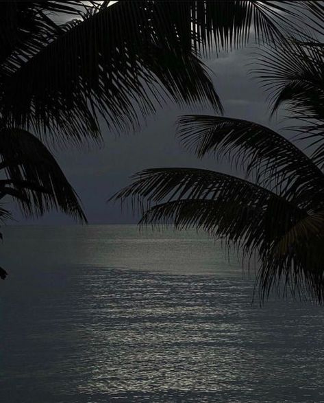 #beach #ocean #night #palmtrees Kylie Francis, Beach At Night, Beach Night, Night Aesthetic, Tropical Islands, Beach Aesthetic, Travel Inspo, Beach Vibe, Tropical Paradise