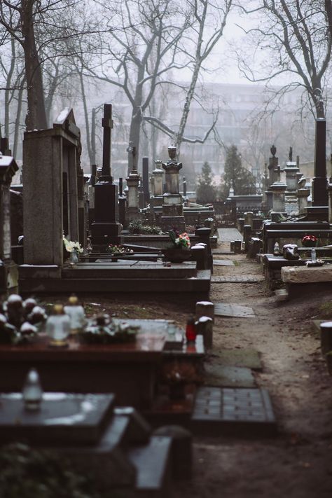 A Scary and Foggy Cemetery · Free Stock Photo Cementary Photo Aesthetic, Cementary Photo, Foggy Cemetery, Cemetery Aesthetic, Cemetery Photography, Beautiful Cemeteries, Old Cemetery, Cemeteries Photography, Goth Gifts