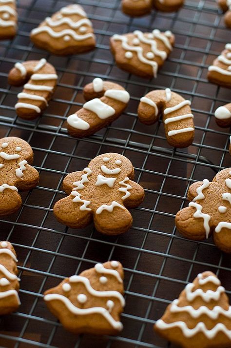 This perfect sweet and spicy Small-batch Gingerbread Cookie recipe will make 6 to 8 large cookies and about 2 dozen mini gingerbread cookies. From http://BakingMischief.com Small Batch Gingerbread, Pumpkin Cookies Decorated, Gingerbread Cookie Recipe, Small Batch Cookies, Large Cookies, Small Batch Baking, Best Holiday Cookies, Pumpkin Cookie, Ginger Bread Cookies Recipe