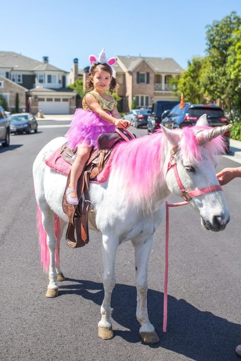 Magical Unicorn Birthday Party, Rainbow Unicorn Party, Unicorn Themed Birthday Party, Rainbow Unicorn Birthday, Unicorn Birthday Party, Pony Birthday, Pony Party, Bday Girl, Mia 3