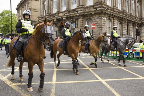 Police Officer Duties, Mounted Police, Police Patrol, Police K9, Horse Wallpaper, Crowd Control, Horse Aesthetic, Police Uniforms, Law Enforcement Officer