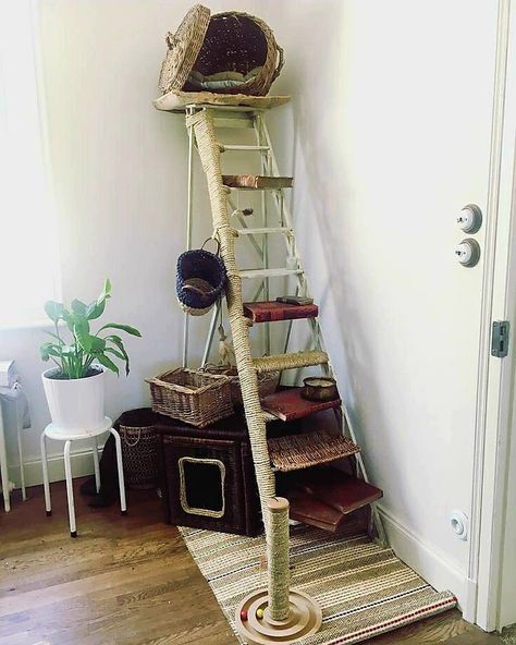 Katt Diy, Cat Room Decor, Cat Playground Outdoor, Katt Grejer, Cat Patio, Cat Tree House, Sand Pit, Diy Cat Tree, Cat House Diy