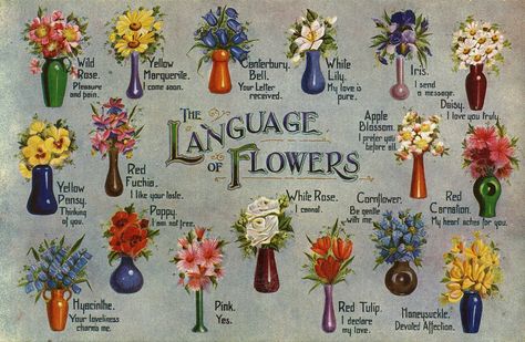 What does each flower symbolize? Which flowers represent love, hope, healing, loss, and good luck? Plant Symbolism, Meaning Of Flowers, Flower Symbolism, Small Wave Tattoo, Yellow Carnations, Tattoos Black Women, Tattoos Butterfly, Flower Language, Farmers Almanac