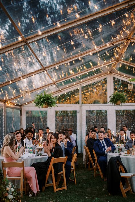 Backyard Cleartop Tent Wedding Clear Tent Lighting, Clearspan Tent Wedding, Clear Roof Tent Wedding, Farm Tent Wedding, Small Backyard Tent Wedding, Upscale Backyard Wedding, Fall Tent Wedding Reception, Tent Wedding Lights, Small Tent Wedding