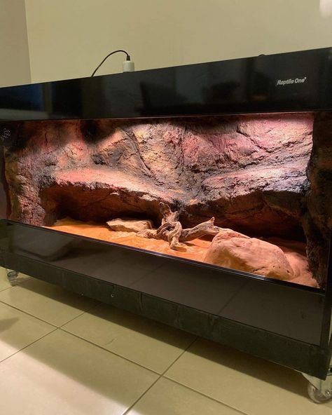 Dessert Terrarium, Bearded Dragon Vivarium Ideas, Reptile Room Setup, Beardie Enclosure, Bearded Dragon Setup, Bearded Dragon Vivarium, Dragon Terrarium, Turtle Tanks, Pet Enclosures