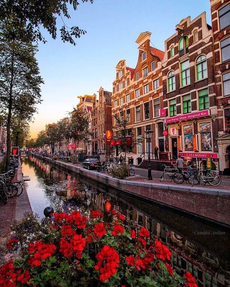 Guide to Amsterdam: Kim Logchies Prins shares her insider knowledge of Amsterdam's art scene and how to spend the perfect day in the spirited city. Amsterdam Red Light, Amsterdam Bucket List, Amsterdam Red Light District, Amsterdam Art, Visit Amsterdam, I Amsterdam, Red Light District, Amsterdam Travel, The Perfect Day