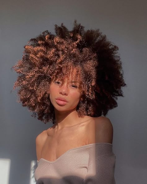 Layered 4c Hair, Soft Feminine Outfits, Cabello Afro Natural, Feminine Outfits, Gorgeous Hairstyles, Pelo Afro, Dyed Natural Hair, Curly Hair Inspiration, Coily Hair