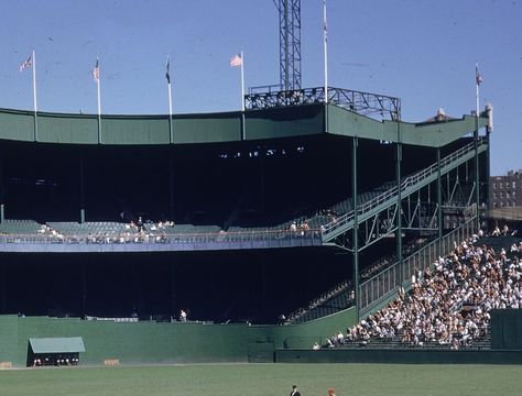 Major League Baseball Stadiums, Polo Grounds, Ny Baseball, Shea Stadium, Baseball Park, Sports Stadium, Giants Baseball, Baseball Stadium, Stadium Tour