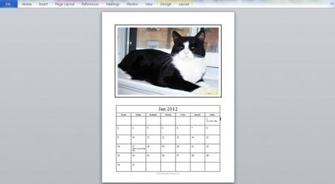 How to Make a Photo Calendar - Easy step by step instructions | HubPages Diy Photo Calendar Ideas, How To Make Calendar, Diy Calendar Photo, Photo Calendar Diy, Calendar Photo, Family Christmas Card Photos, Cat Calendar, Diy Calendar, Free Calendar