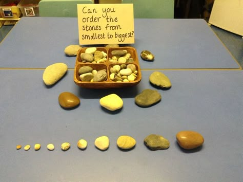 Sorting natural materials Reggio Sorting Activities, Math Provocations Kindergarten, Reggio Math, Kindergarten Provocations, Math Provocations, Provocations Reggio, Maths Eyfs, Eyfs Maths, Math Preschool