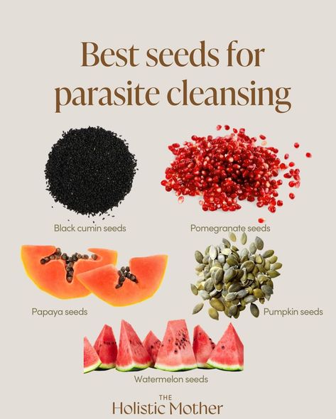 All Posts • Instagram Parasite Cleanse, Food Health Benefits, Healthy Hormones, Natural Healing Remedies, Herbal Healing, Home Health Remedies, Herbs For Health, Healing Food, Health Knowledge