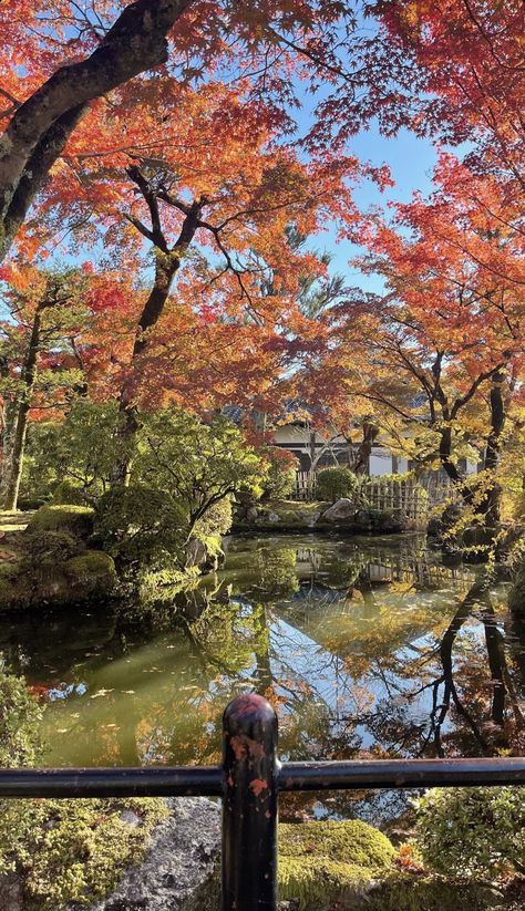 Japan In Autumn Aesthetic, Japanese Fall Wallpaper, Japanese Fall Aesthetic, Japan Aesthetic Autumn, Fall In Japan Aesthetic, Japanese Autumn Aesthetic, Japan In The Fall, Japan Autumn Aesthetic, Japan Fall Aesthetic