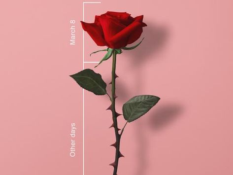 Women's Day Flower Creative Ads, Rose Day Creative Ads, Women's Day Creative Ads, Women Day Ideas Creative Poster, Valentines Social Media, Chicago Bulls Logo, Bulls Logo, Rosé Theme, Ad Of The World