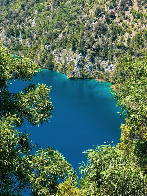 Mount Gambier is a town that should not be missed if you’re travelling across the South Australia and Victoria border. The town’s deep blue lakes, mysterious sinkholes, and volcanoes make it a true gem. Dive into our unforgettable 48-hour itinerary of Mount Gambier! Mount Gambier South Australia, Mount Gambier, Australia Bucket List, Sunken Garden, Caravan Park, Blue Lake, A Town, Crystal Clear Water, South Australia