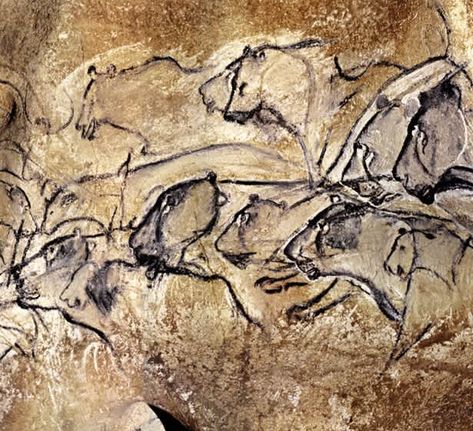 5Zsfach Werner Herzog Film, Chauvet Cave, Prehistoric Cave Paintings, Paleolithic Art, Stone Age Art, Cave Painting, Animal Footprints, Cave Drawings, Ancient Drawings