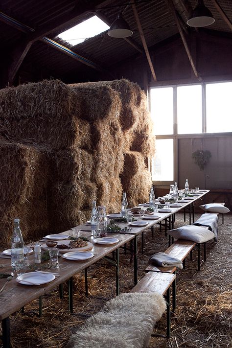 Barn party Winter Picnic, Barn Parties, Outdoor Dinner, Table Set Up, Long Table, Beautiful Table, Table Style, Country Living, Country Life