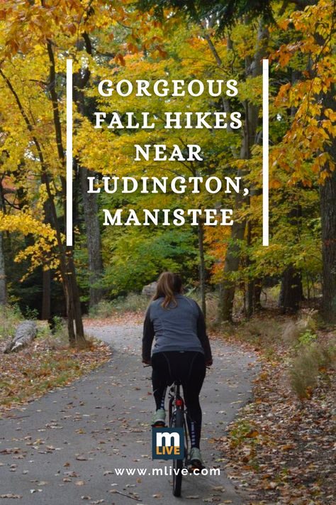 Check out some of the best hiking trails to experience Michigan's fall foliage in the Ludington and Manistee areas. The trails offer scenic views and diverse terrain for hikers of all skill levels. Manistee Michigan, Fall Hikes, Positive Stories, Road Adventure, Fall Hiking, Family Friendly Activities, Hit The Road, Northern Michigan, Beach Town