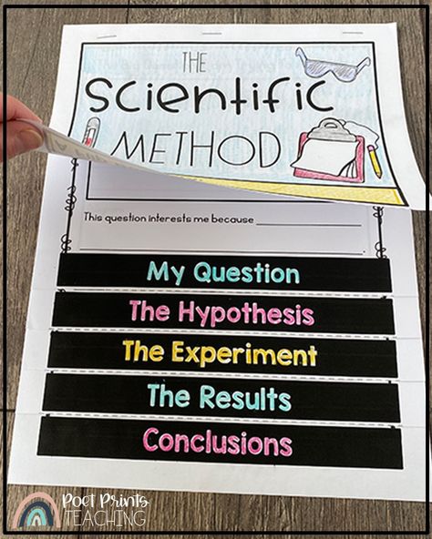 Scientific Method 3rd Grade, 3rd Grade Lessons, Third Grade Science Projects, Scientific Method Anchor Chart, Scientific Method Elementary, Amplify Science, Scientific Method For Kids, Scientific Method Experiments, Scientific Method Activities