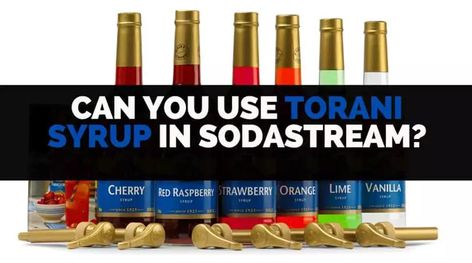 Can You Use Torani Syrup in SodaStream? Torani Cherry Syrup Recipes, Torani Syrup Cocktail Recipes, Homemade Torani Syrup, Drinks Using Torani Syrups, Sodastream Syrup, Torani Syrup Recipes, Homemade Soda Stream Syrup, Torani Recipes, Soda Stream Recipes