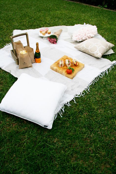 DIY Mothers Day Outdoor Cinema Picnic Mothers Day Picnic Ideas, Mothers Day Picnic, Cottage Core Picnic, Secret Cinema, Dog Party Decorations, Diy Mothers Day, Picnic Menu, Living With Dogs, Picnic Inspiration