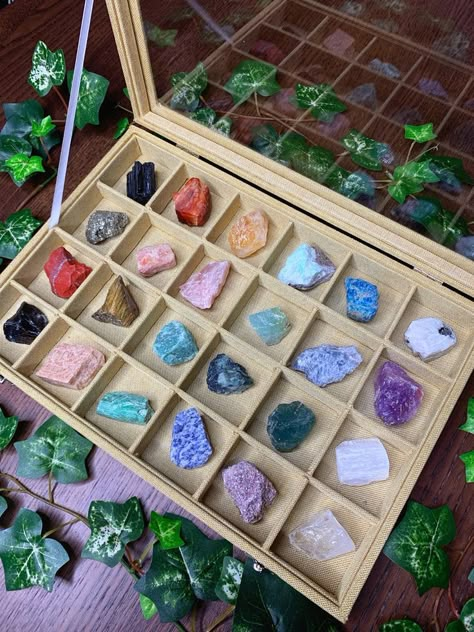 Meditation Altar, Crystal Collection, Raw Crystal, Ivy, Gift Set, Gift Box, Crystals, Gifts