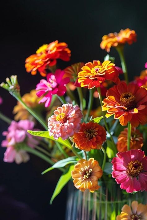 How To Cut Zinnias For A Vase: Fresh Flower Arrangement How To Arrange Fresh Flowers In A Vase, How To Arrange Flowers In A Vase, Zinnia Arrangements, Fresh Flower Arrangement, Small Urban Garden, Bouquet Tutorial, Backyard Balcony, Zinnia Flowers, Backyard Inspiration