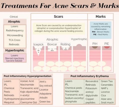 Esthetician School Activities, Medical Aesthetician Aesthetic, Esthetician Learning, Esthetician Study Guide, Esthetician Study Notes, Esthetician School Notes, Aesthetics Facials, Esthetician Education, Skin Physiology