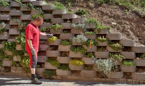 Some retaining walls even leave room for the addition of plant life. Landscaping Blocks, Retaining Wall Design, Retaining Wall Blocks, Garden Blocks, Garden Retaining Wall, Cinder Block Garden, Landscaping Equipment, Cinder Block Walls, Concrete Retaining Walls