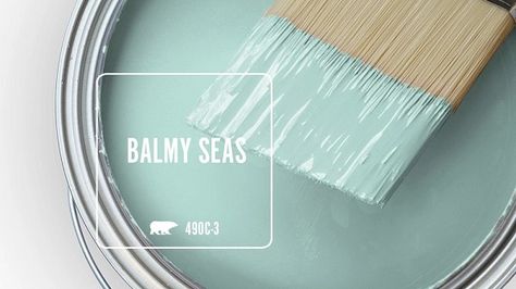 BALMY SEAS 490C-3 | Behr Paint Colors Behr Sea Glass Paint, Behr Aqua Paint Colors, Light Aqua Paint, Lake House Paint Colors, Coastal Paint Colors, Coastal Paint, Dining Room Paint Colors, Behr Colors, Blue Green Paints