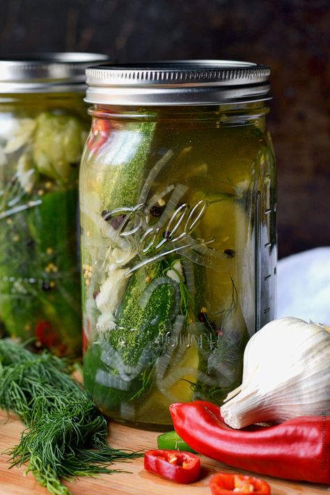 Refrigerator Pickles Dill, Refrigerator Pickle Recipes, Pickled Foods, Dill Pickle Recipe, How To Make Pickles, Refrigerator Pickles, Pickled Garlic, Smoked Meat Recipes, Pickle Butter