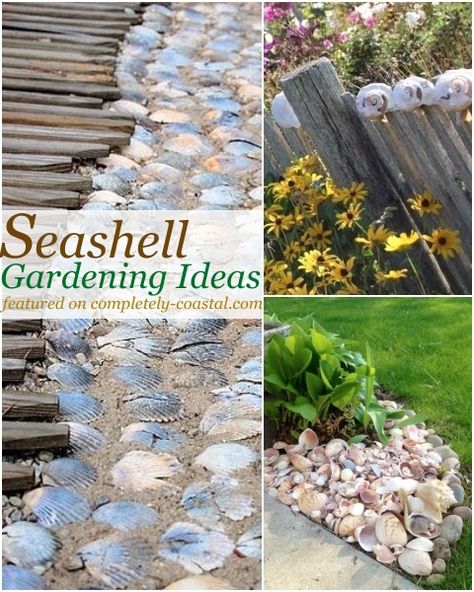 Sea Shells Garden Ideas, Shell Garden Decorations, Crushed Shells Landscaping, Display Seashells Ideas Outside, Seashell Fairy Garden Ideas, Beach Gardens Landscape, Seashell Outdoor Projects, Seashell Planters Flower Pots, Shells In Garden