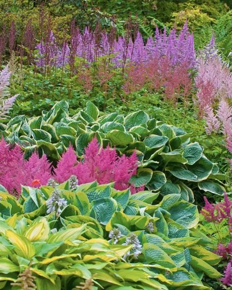 20 Shade Garden Design Ideas That Thrive Without Tons of Sun Narrow Shade Garden, Shade Garden Design Layout, Shade Garden Ideas, Flowering Shade Plants, Shaded Garden, Shade Landscaping, Shade Garden Design, Shade Loving Perennials, Shade Garden Plants