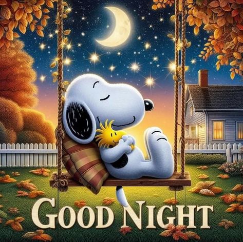 Christian Snoopy, Snoopy Good Night, Snoopy Friday, Happy Snoopy, Whatsapp App, Snoopy Drawing, Good Night Funny, Amazon Photos, Night Greetings