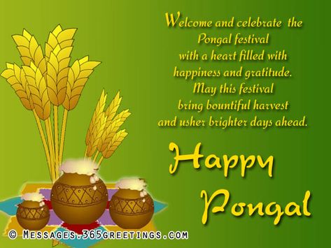 Pongal Wishes Messages and Pongal Greetings - Messages, Wordings and Gift Ideas Sankranti Wishes Images, Pongal Greetings, Sankranthi Wishes, Farmer Quote, Pongal Images, Tamil Greetings, Happy Pongal Wishes, Thai Pongal, Full Screen Wallpaper