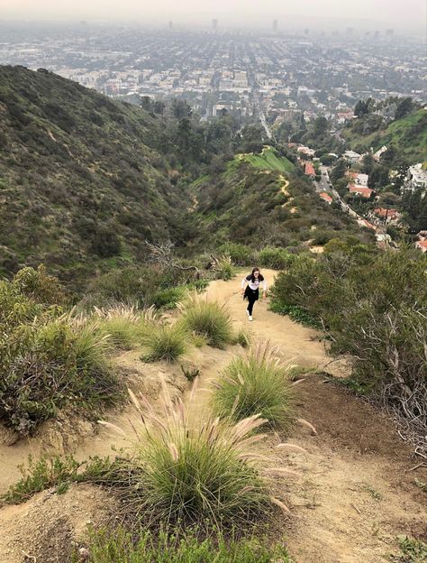 Hollywood Hills hike Hollywood Hills Aesthetic, Los Angeles Hikes, Hollywood Sign Hike, Hiking List, La Hikes, Hikes In Los Angeles, La Aesthetic, Usa Nature, California Aesthetic