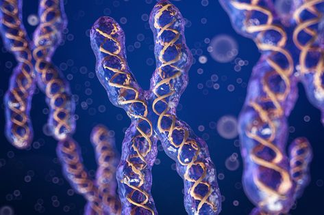 Chromosome Structure, Theatre Lighting Design, Nexus Logo, Genetic Modification, General Biology, خريطة ذهنية, X Chromosome, Theatre Lighting, Medical School Life