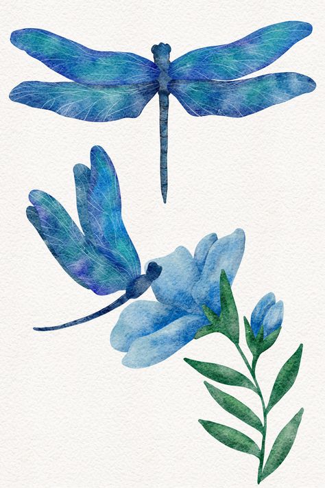 Watercolor illustration of blue dragonfly and flower Dragonfly Illustration Design, Water Colour Dragon Fly, Dragonfly Illustration Cute, Dragonfly Digital Art, Insect Watercolor Painting, Dragonfly Clipart, Blue Dragonfly, Image Illustration, Watercolor Illustration