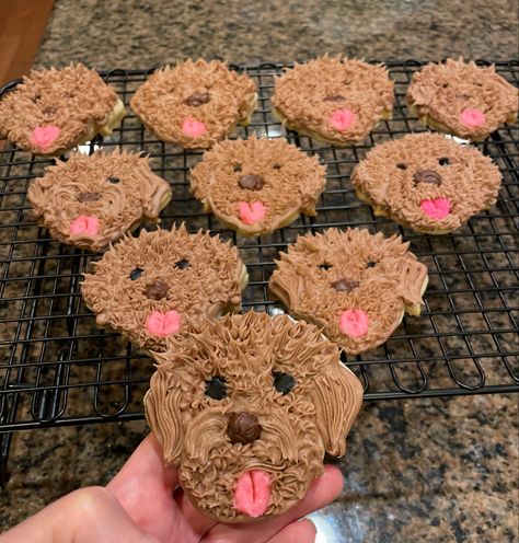 Dog Cupcakes Design, Labradoodle Cupcakes, Goldendoodle Birthday Cake, Dog Cookie Cake Design, Cockapoo Cupcakes, Goldendoodle Cupcakes, Golden Doodle Cookies Decorated, Golden Doodle Cupcakes, Golden Doodle Cake