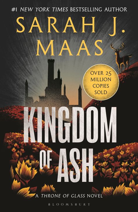 Best Fantasy Book Series, Fantasy Fiction Books, Kingdom Of Ash, Aelin Galathynius, Throne Of Glass Books, Glass Book, Fantasy Book Series, Empire Of Storms, Small Town Romance