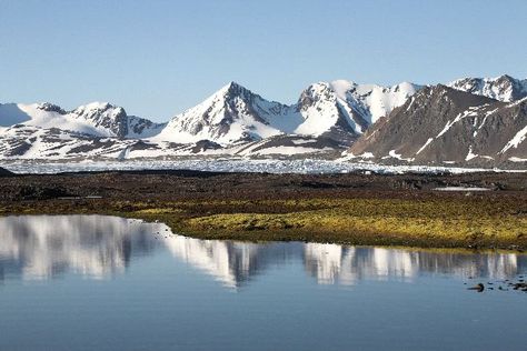 Tundra Biome Tundra Biome, Biomes Project, Biology Projects, Arctic Tundra, Water Reflections, Biome, Summer Landscape, Animal Facts, Nature Images