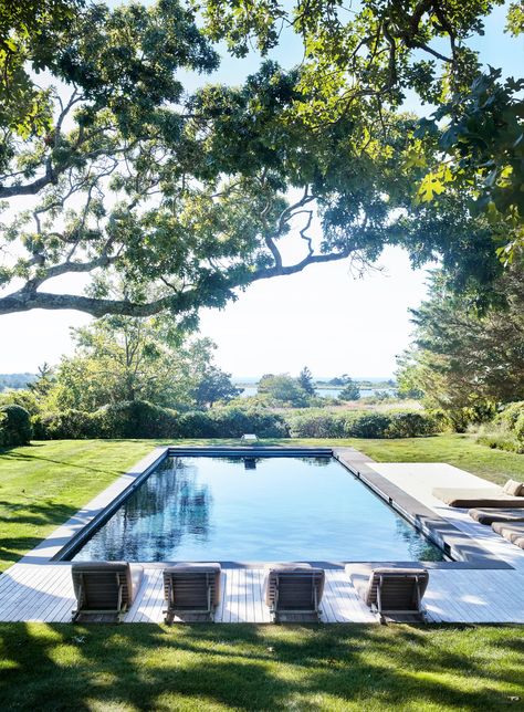 Long Pool, Miranda Brooks, The Life Aquatic, Pump House, Planting Ideas, Modern Barn House, Life Aquatic, Living The Life, Modern Pools